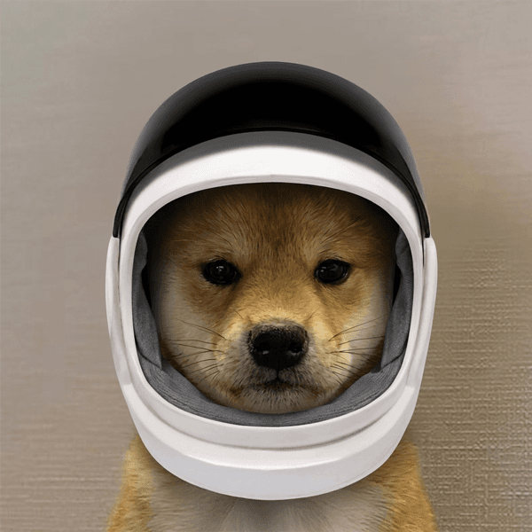 Spacedog logo